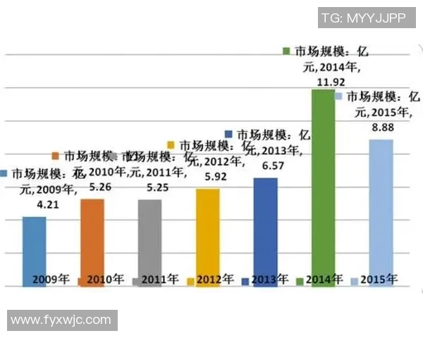 足球明星出场费用揭秘:影响因素与市场行情分析 足球明星出场费用揭秘:影响因素与市场行情分析