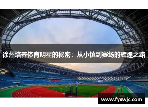 徐州培养体育明星的秘密：从小镇到赛场的辉煌之路